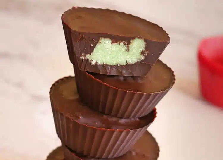 Gâteau au chocolat et noix de coco au thermomix