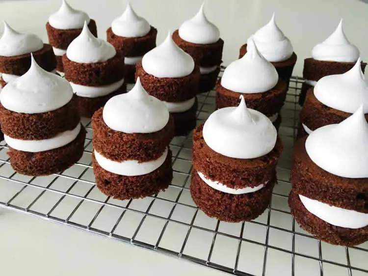 Mini gâteaux chocolat au thermomix